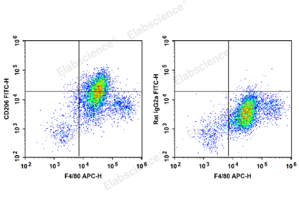 FITC Anti-Mouse CD206/MMR Antibody[C068C2] (E-AB-F1135UC)