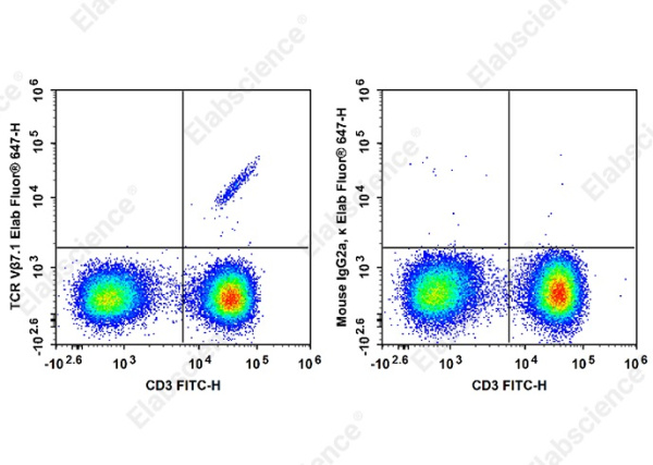 Elab Fluor®647 Anti-Human TCR Vβ7.1 Antibody[ZOE5.1] (AN00370M)