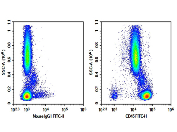 Purified Anti-Human CD45 Antibody[QA17A19] (AN003580P)