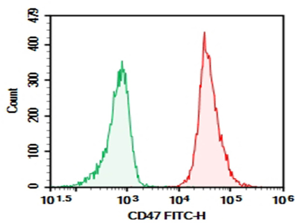 Purified Anti-Human/Mouse/Rat CD47 Antibody[MIAP410] (E-AB-F1016A)