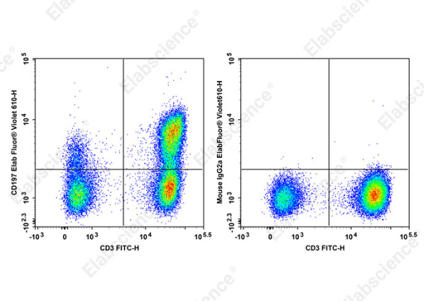 Elab Fluor® Violet 610 Anti-Human CD197/CCR7 Antibody[G043H7] (E-AB-F1159T)