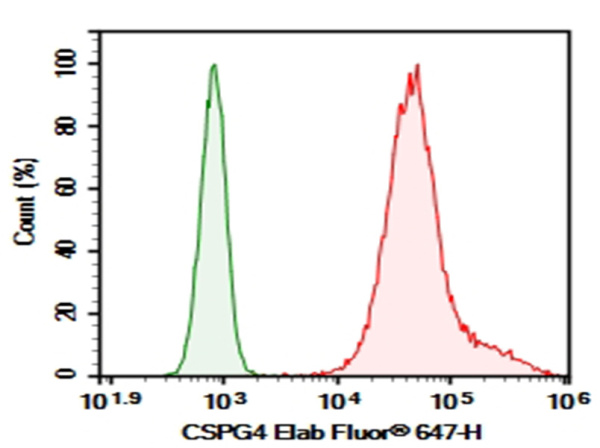 Purified Anti-Human CSPG4 Antibody[9.2.27] (AN007420P)
