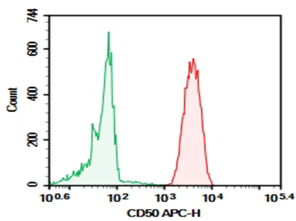 Purified Anti-Human CD50 Antibody[CBR-IC3/1] (AN003180P)