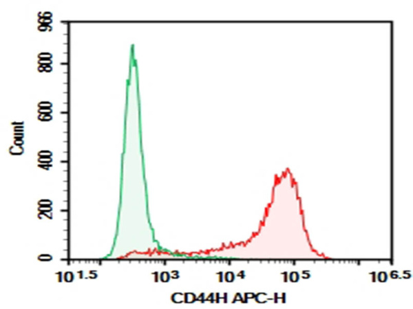 Purified Anti-Rat CD44H Antibody[OX-49] (E-AB-F1225A)