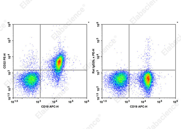 PE Anti-Mouse CD32 Antibody[S17012B] (AN00847D)