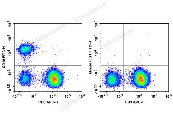 FITC Anti-Human CD19 Antibody[HI19a] (E-AB-F1304C)