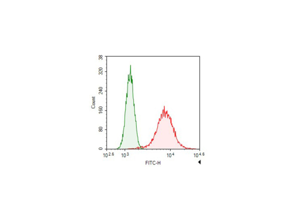 FITC-conjugated beta Tubulin Monoclonal Antibody (AN00293C)
