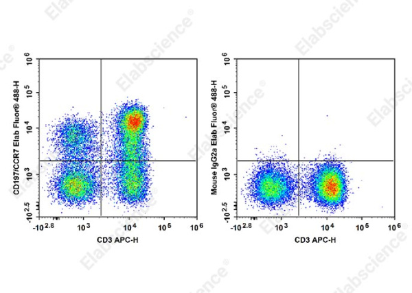 Elab Fluor® 488 Anti-Human CD197/CCR7 Antibody[G043H7] (E-AB-F1159L)