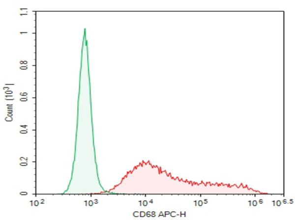 Purified Anti-Human CD68 Antibody[Y1/82A] (E-AB-F1299A)