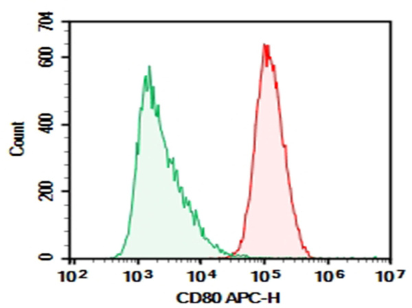 Purified Anti-Human CD80 Antibody[2F4] (AN003450P)
