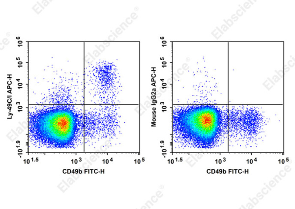 APC Anti-Mouse Ly-49C/I Antibody[5E6] (AN00659E)