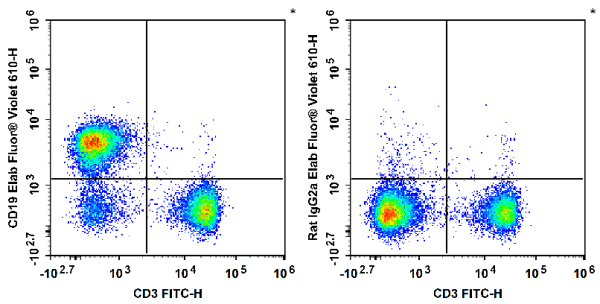Elab Fluor® Violet 610 Anti-Mouse CD19 Antibody[1D3] (E-AB-F0986T)