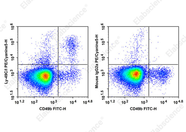 PE/Cyanine5 Anti-Mouse Ly-49C/I Antibody[5E6] (AN00659G)
