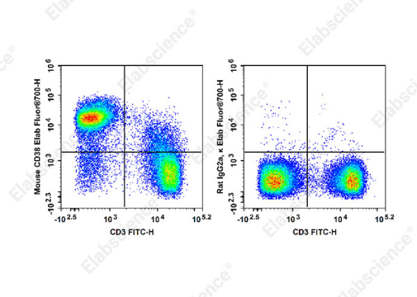 Elab Fluor® 700 Anti-Mouse CD38 Antibody[NIMR5] (E-AB-F1193UM1)