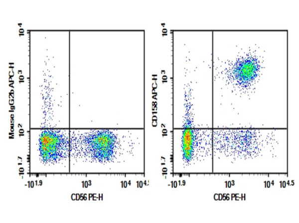 Purified Anti-Human CD158a Antibody[HP-MA4] (E-AB-F1391A)