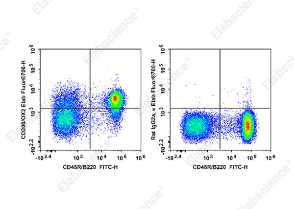 Elab Fluor® 700 Anti-Mouse CD200/OX2 Antibody[OX-90] (E-AB-F1234UM1)