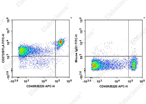 FITC Anti-Mouse CD272/BTLA Antibody[PJ196] (AN00633C)