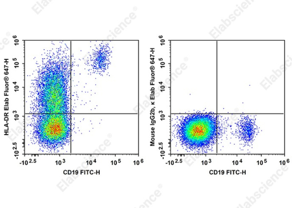 Elab Fluor®647 Anti-Human HLA-DR Antibody[LN3] (AN00960M)