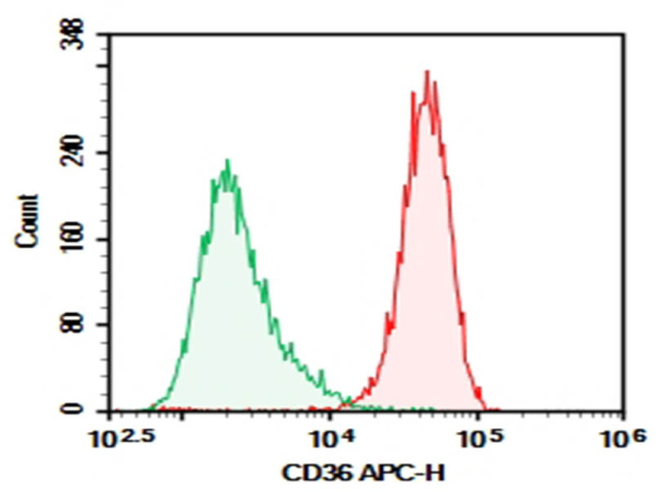 Purified Anti-Mouse CD36 Antibody[HM36] (E-AB-F1291A)