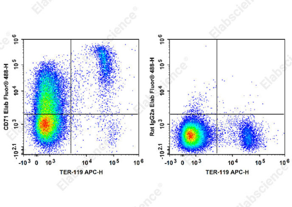 Elab Fluor® 488 Anti-Mouse CD71 Antibody[R17 217.1.3/TIB-219] (E-AB-F1093L)