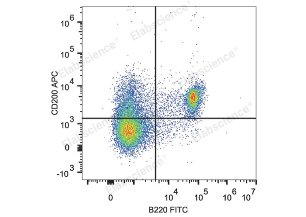 APC Anti-Mouse CD200/OX2 Antibody[OX-90] (E-AB-F1234UE)