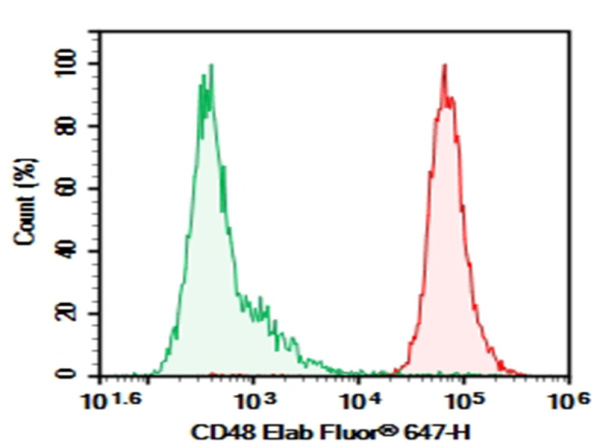 Purified Anti-Mouse CD48 Antibody[HM48-1] (E-AB-F1017A)