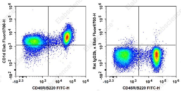 Elab Fluor® 700 Anti-Mouse CD1d Antibody[19G11] (E-AB-F1032M1)