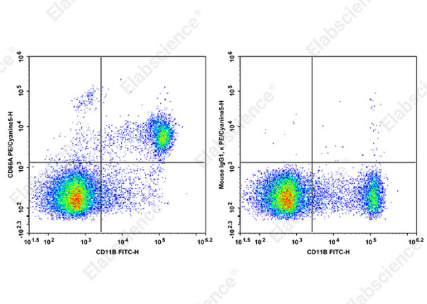 PE/Cyanine5 Anti-Mouse CD66A Antibody[Mab-CC1] (AN00328G)