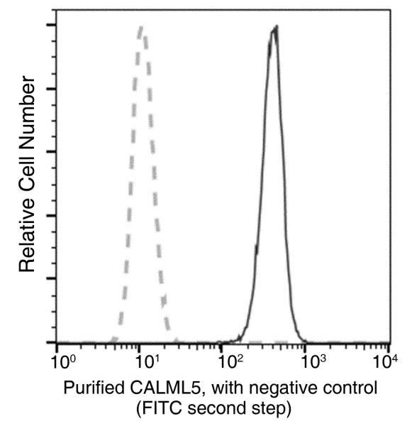 Recombinant CALML5 Monoclonal Antibody (AN300242P)