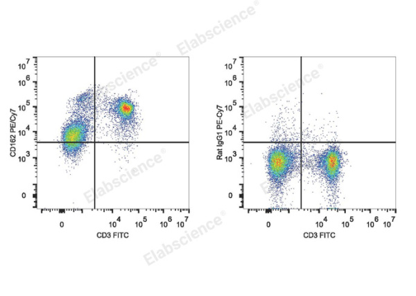 PE/Cyanine7 Anti-Mouse CD162 Antibody[4RA10] (E-AB-F1034H)