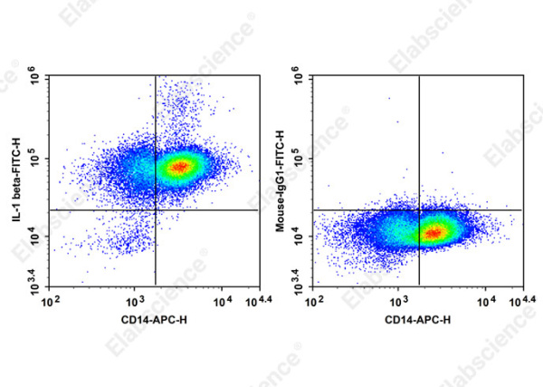 FITC Anti-Human IL-1 beta Antibody[CRM56] (AN00842C)