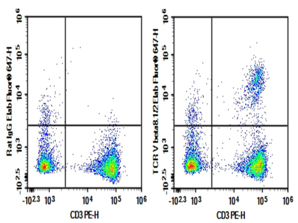 Purified Anti-Mouse TCR V beta8.1/2 Antibody[KJ16-133.18] (AN004820P)