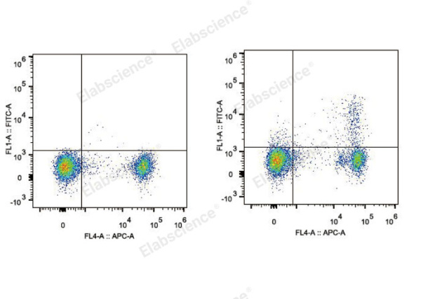 FITC Anti-Mouse CD25 Antibody[PC-61.5.3] (E-AB-F1102C)