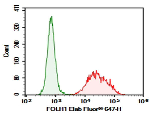 Purified Anti-Human FOLH1 Antibody[107-1A4] (AN004840P)