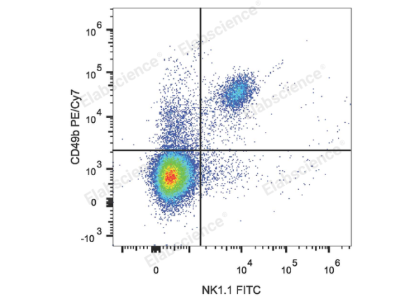 PE/Cyanine7 Anti-Mouse CD49b/pan-NK cells Antibody[DX5] (E-AB-F1116UH)