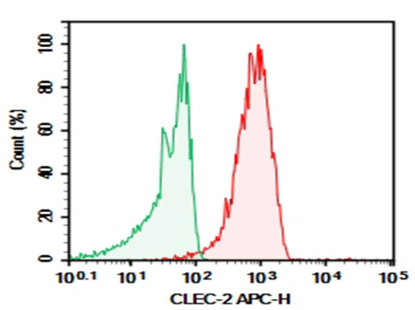Purified Anti-Human CLEC-2 Antibody[AYP1] (AN008900P)