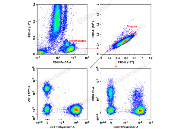 Anti-Human CD19-FITC/CD56-PE/CD3-PE/Cyanine7/CD45-PerCP Cocktail (E-AB-FC0011)