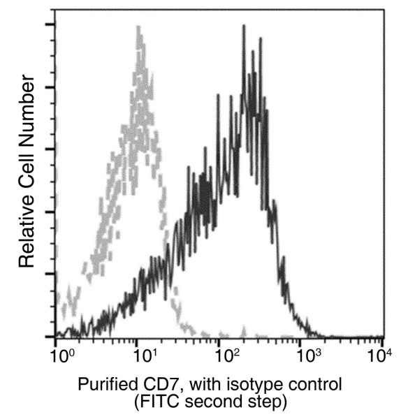 CD7 Monoclonal Antibody (AN200115P)