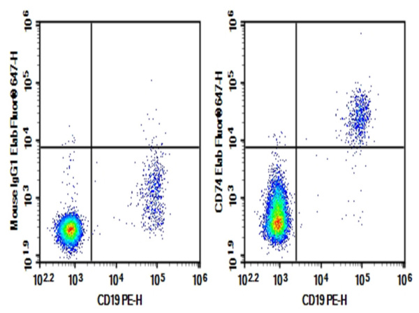 Purified Anti-Human CD74 Antibody[LN2] (E-AB-F1072A)