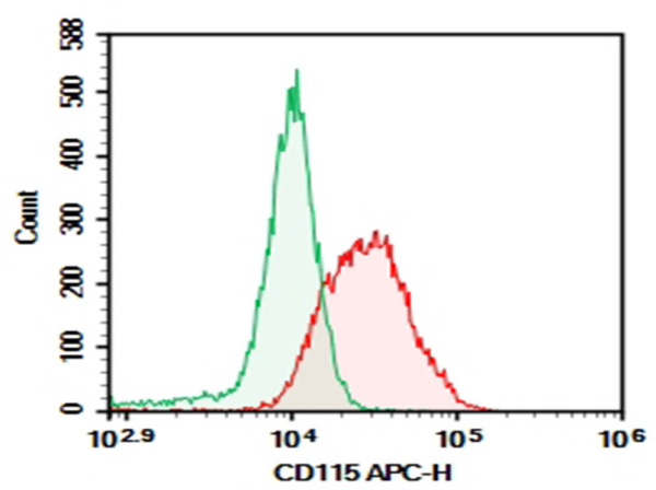AF/LE Purified Anti-Mouse CD115/CSF-1R Antibody[AFS98] (E-AB-F11070)