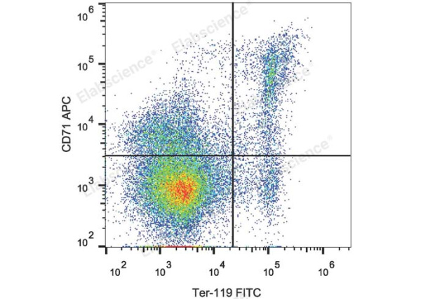 APC Anti-Mouse CD71 Antibody[R17 217.1.3/TIB-219] (E-AB-F1093UE)