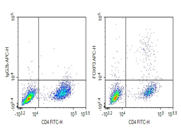 Purified Anti-Mouse FOXP3 Antibody[MF-14] (AN009460P)