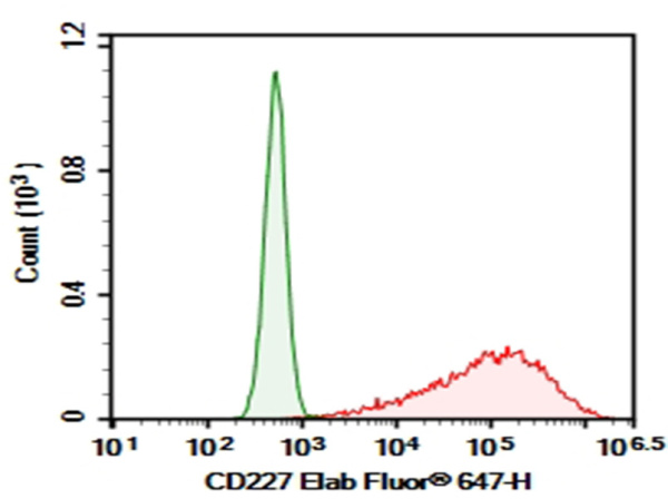 Purified Anti-Human CD227 Antibody[AR20.5] (AN007620P)