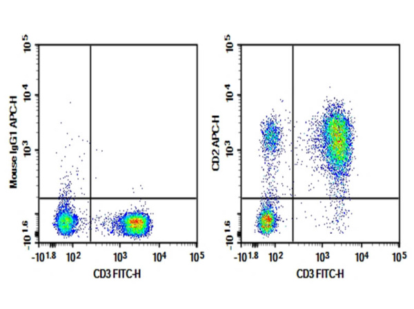 Purified Anti-Human CD2 Antibody[TS1/8] (E-AB-F1148A)