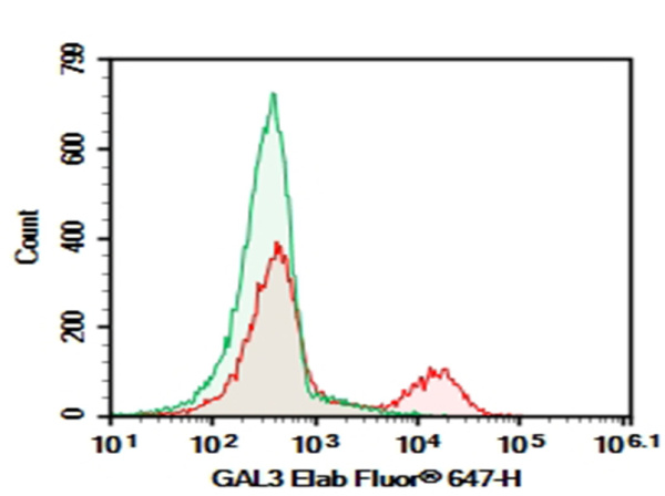 Purified Anti-Mouse/Human GAL3 Antibody[M3/38] (AN003440P)
