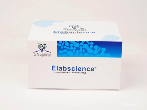 SARS-CoV-2 Spike Protein Total Antibody ELISA Kit (E-EL-E607)