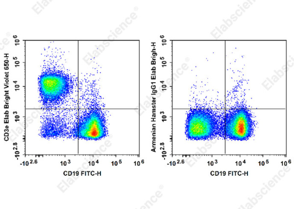 Elab Bright™ Violet 650 Anti-Mouse CD3ε Antibody[145-2C11] (E-AB-F1103U)