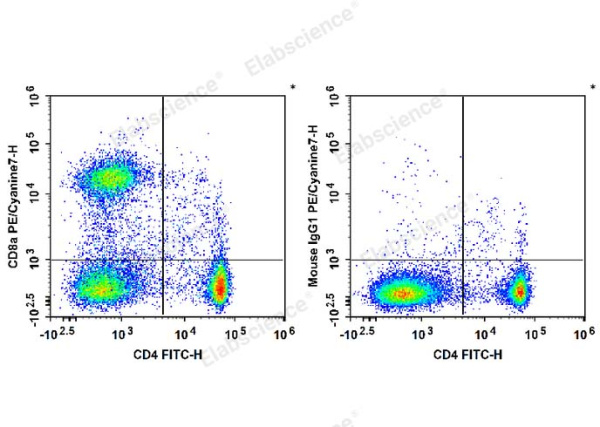 PE/Cyanine7 Anti-Rat CD8a Antibody[OX-8] (E-AB-F1098H)