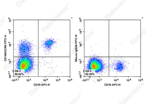 FITC Anti-Human CD196/CCR6 Antibody[G034E3] (E-AB-F1158C)