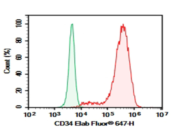 Purified Anti-Human CD34 Antibody[581] (E-AB-F1143A)